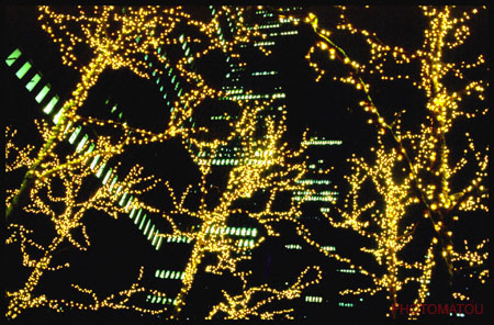 ETATS UNIS NEWYORK NUIT