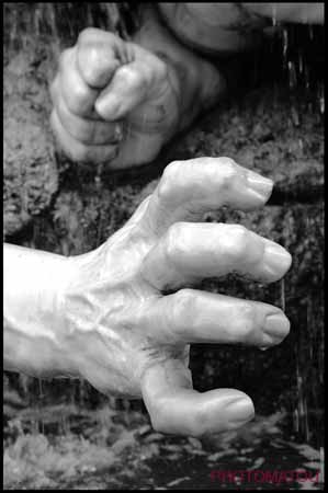 SCULPTdétailmainVIENNE4375